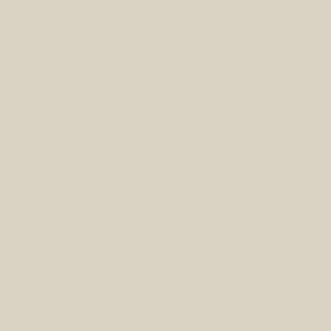 Image of White Paint
